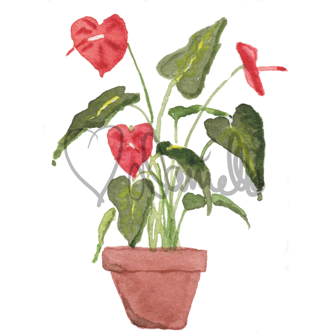 Watercolor Anthurium Sticker