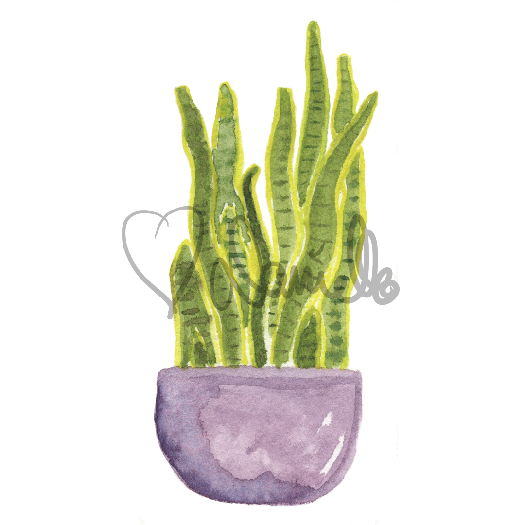 Watercolor Snake Plant Sticker