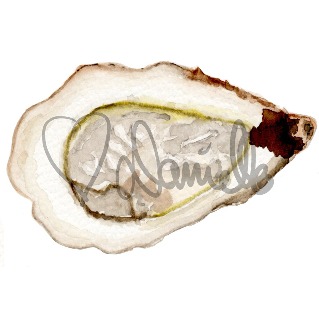 Watercolor Oyster Sticker