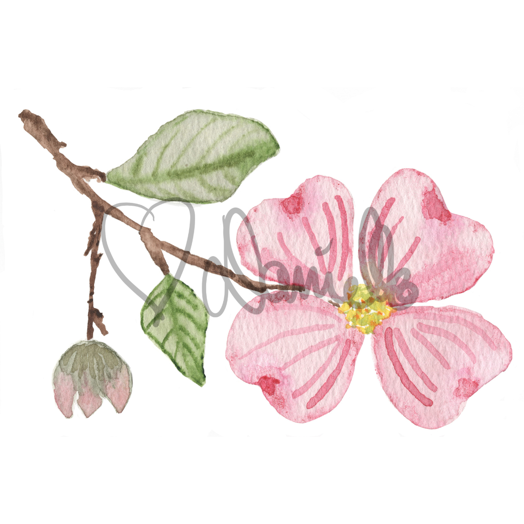 Watercolor Dogwood Blossom Print