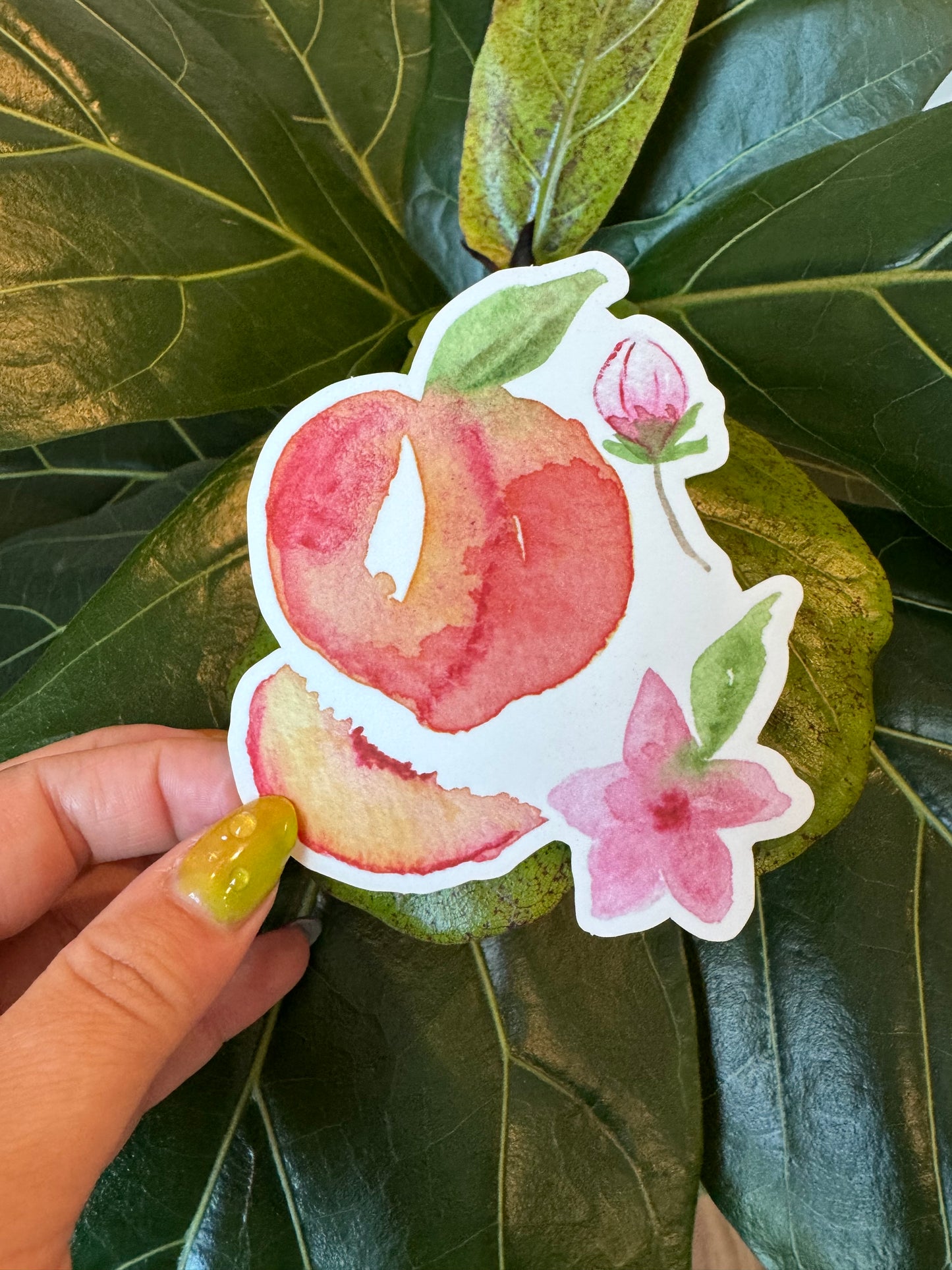 Watercolor Peaches Sticker