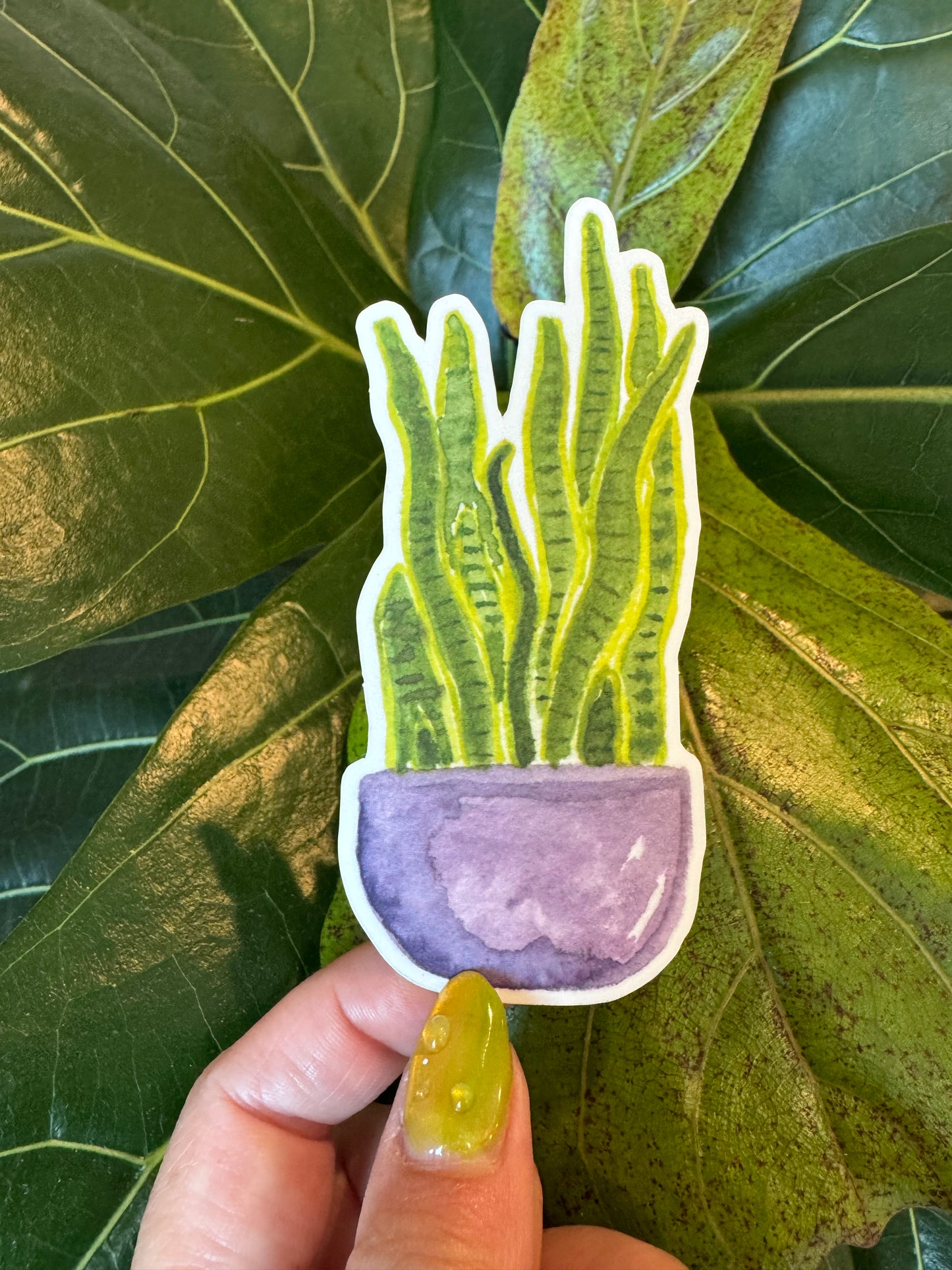 Watercolor Snake Plant Sticker