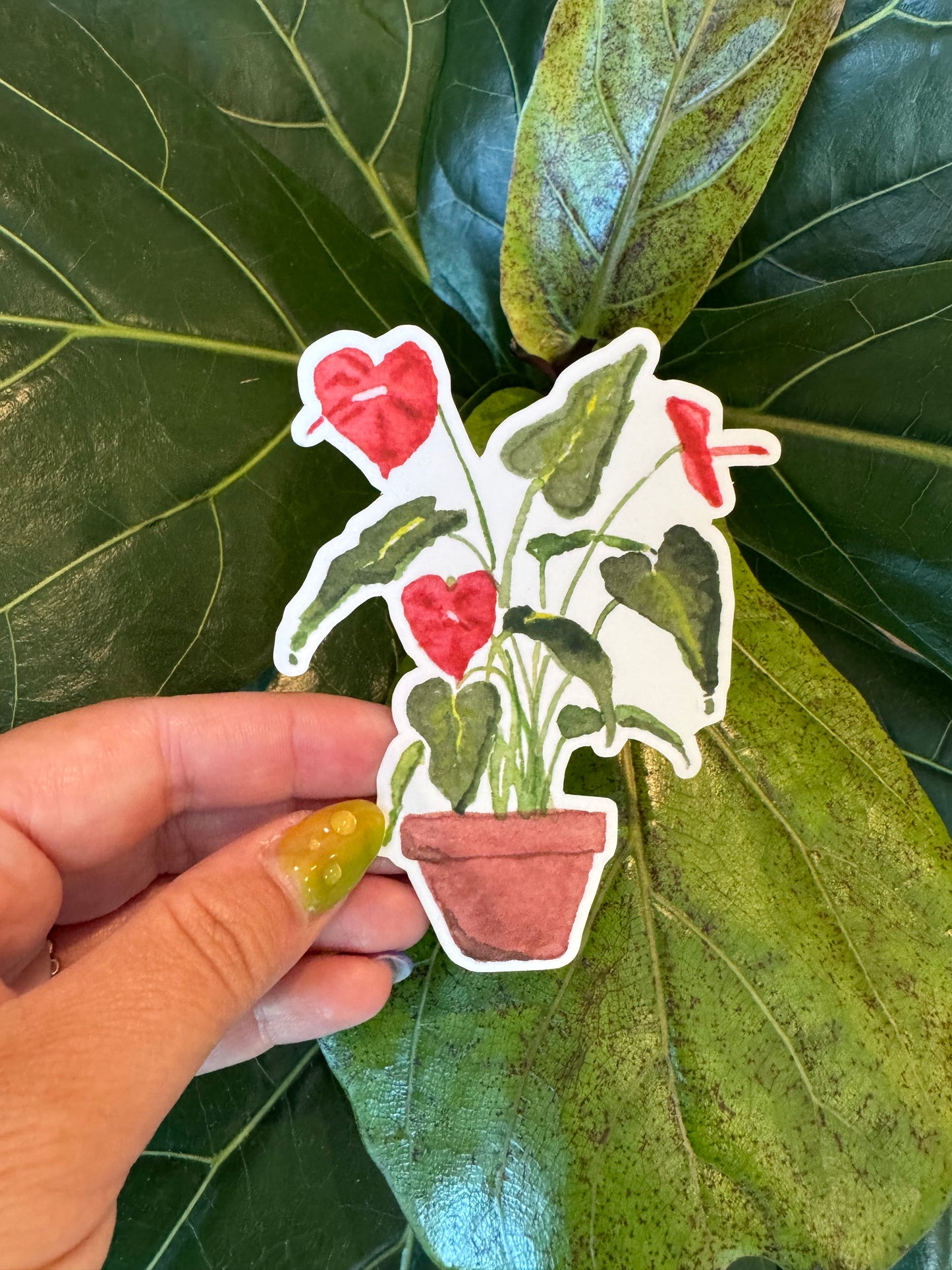 Watercolor Anthurium Sticker