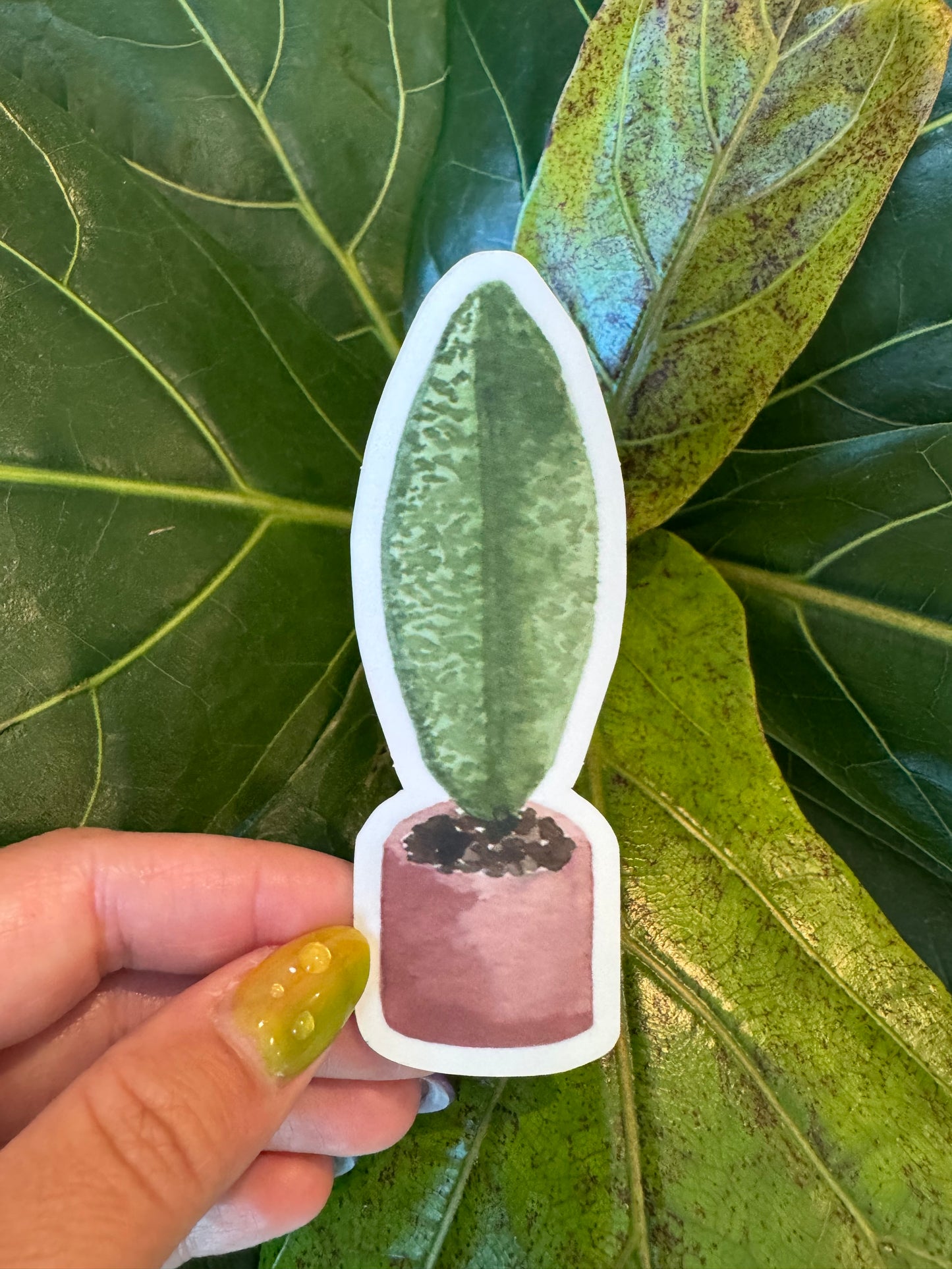 Watercolor Whale Fin Plant Sticker