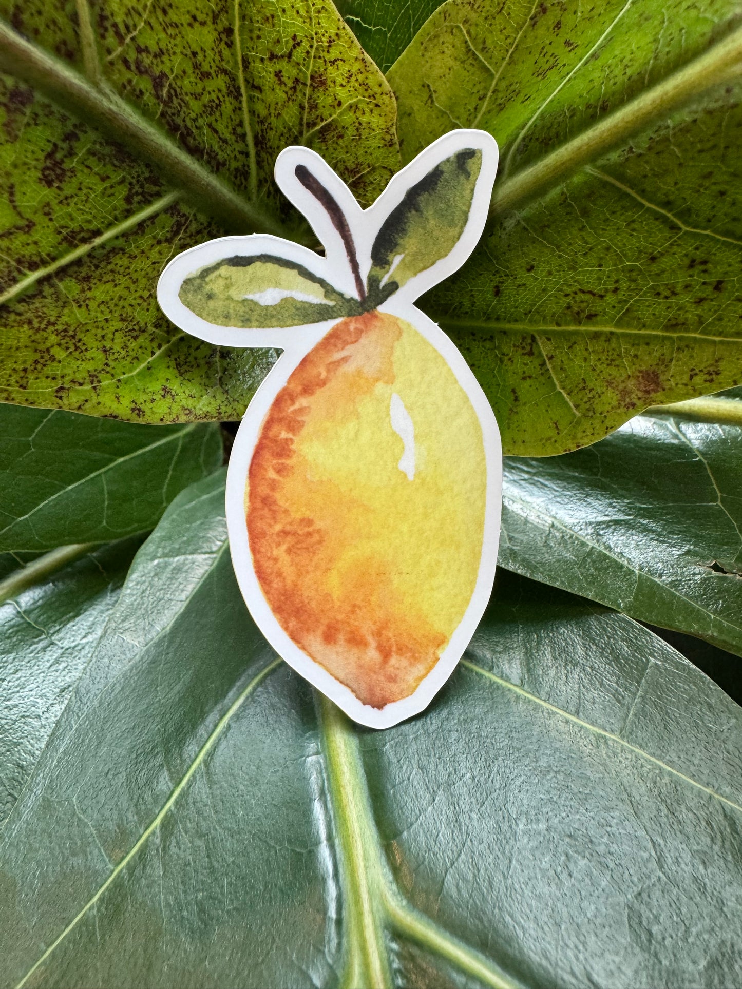 Watercolor Lemon Sticker