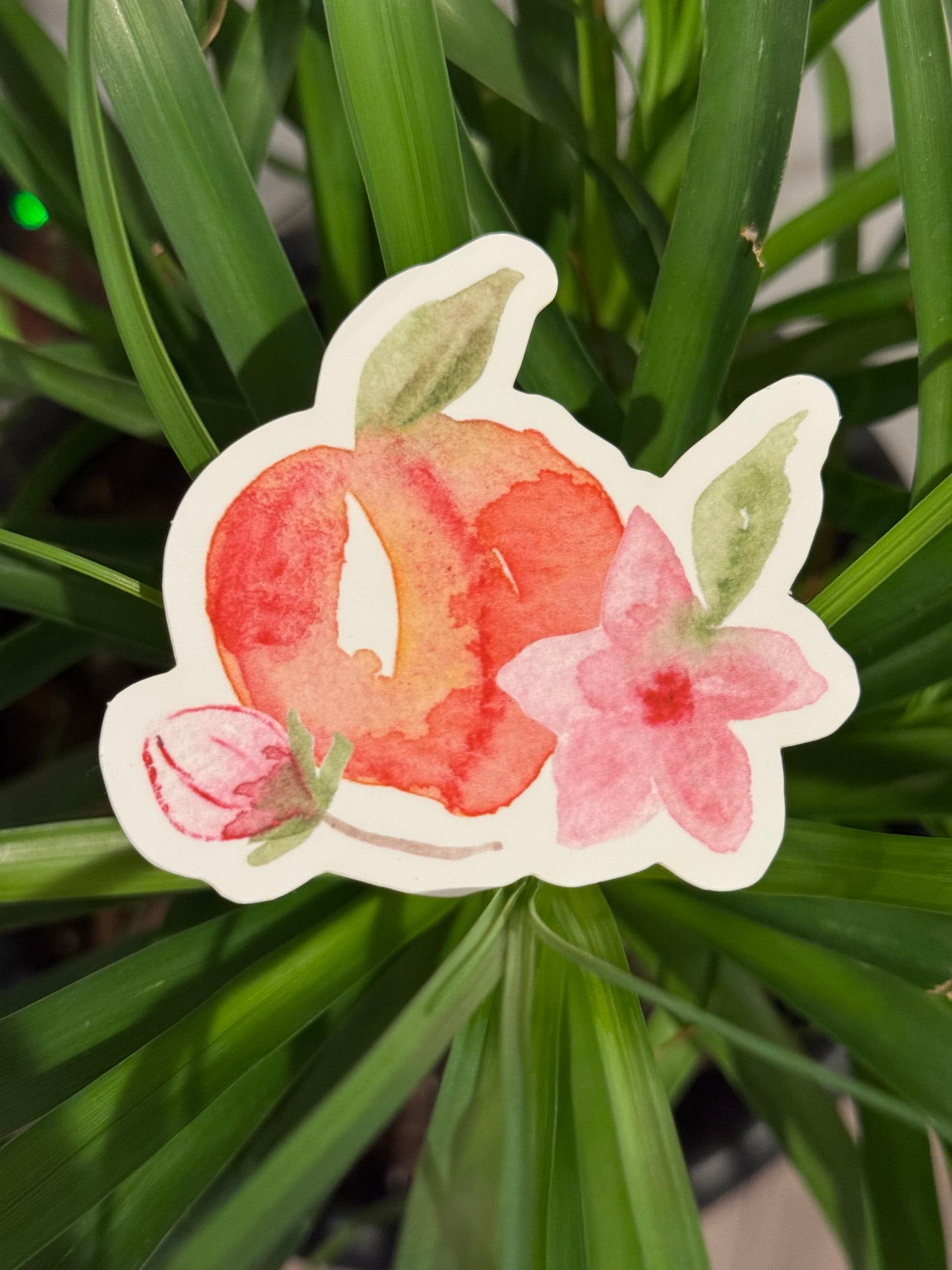 Watercolor Peaches Sticker
