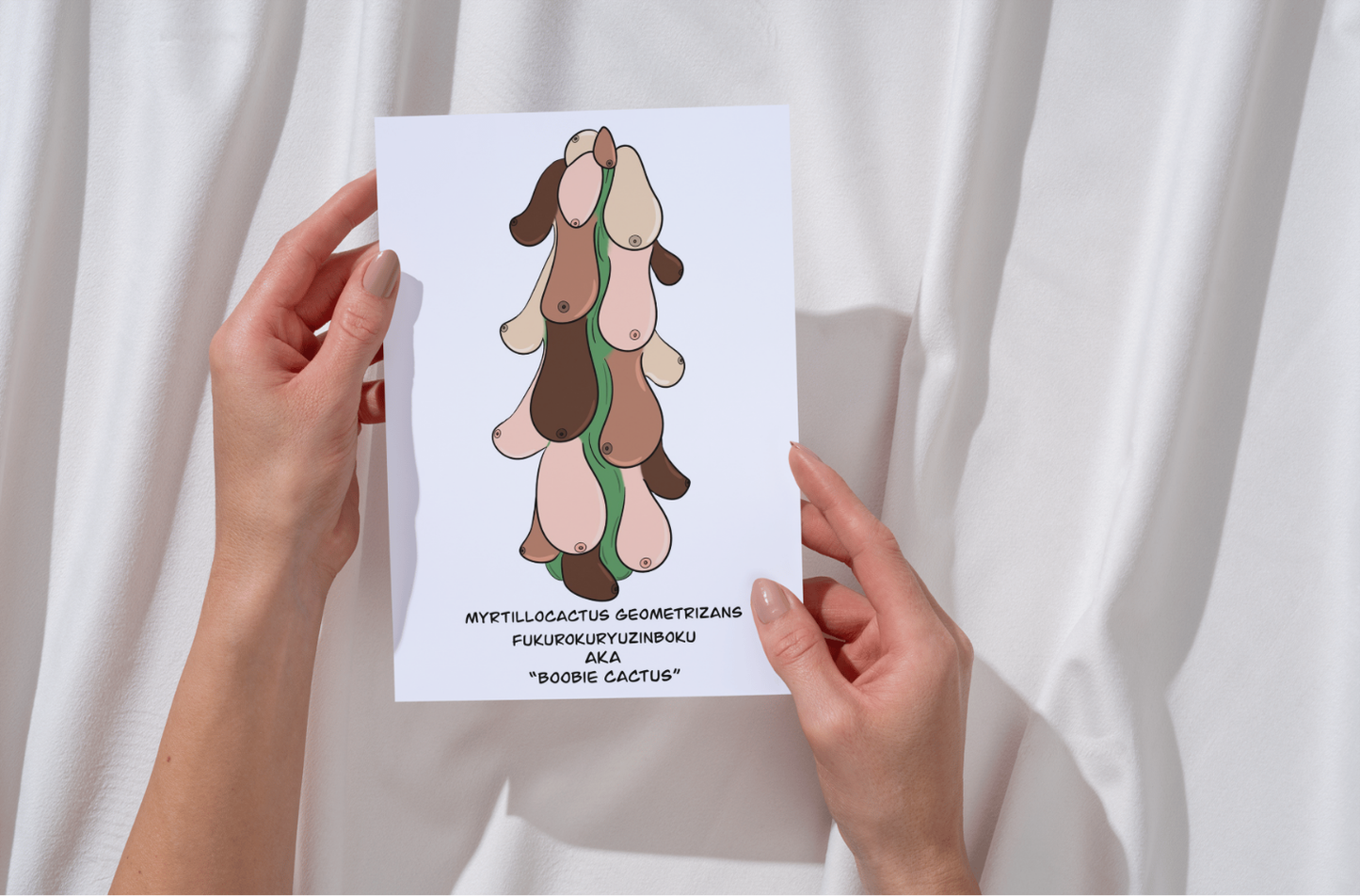 Literal Plants — Boobie Cactus