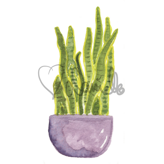 Watercolor Snake Plant Sticker