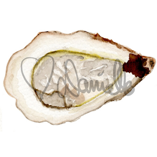 Watercolor Oyster Sticker