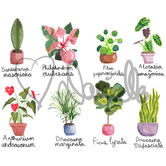 Watercolor Plant Party Print
