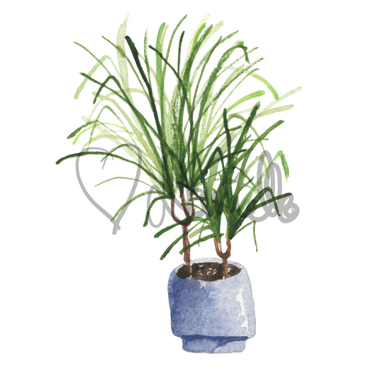 Watercolor Dragon Tree Sticker