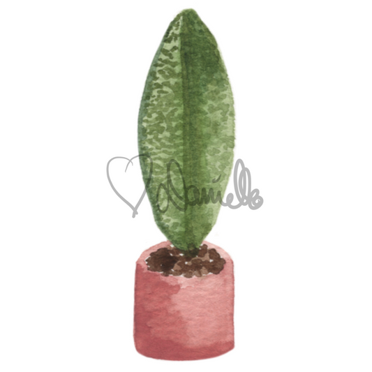 Watercolor Whale Fin Plant Sticker