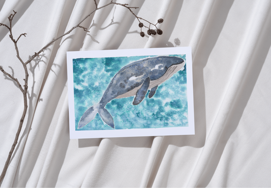 Watercolor Whale