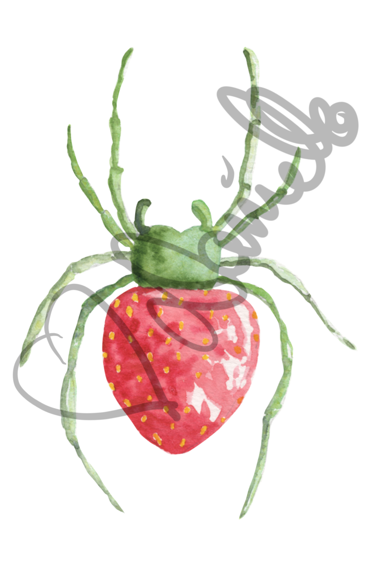 Spiderberry Watercolor — Sticker