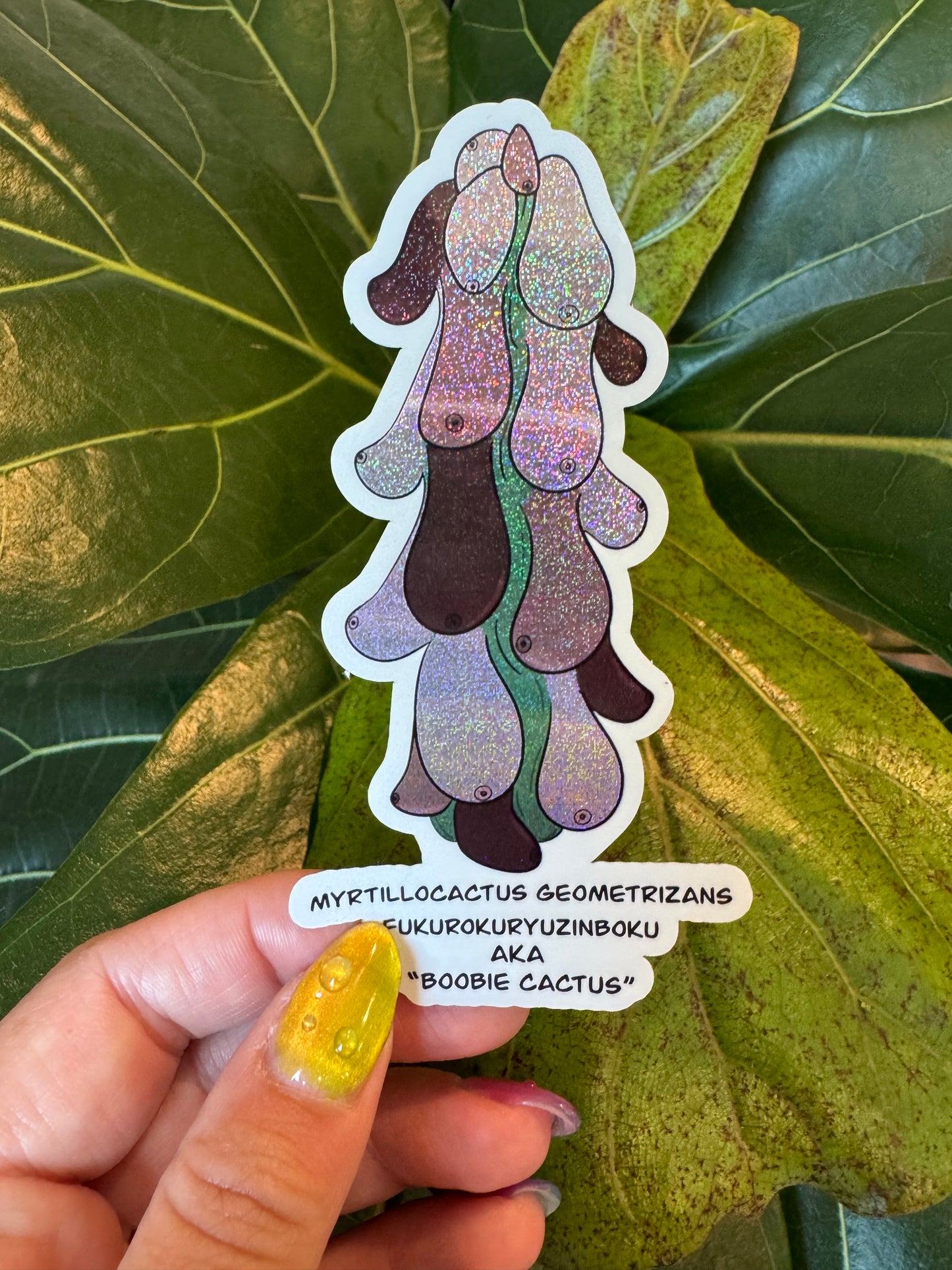 Literal Plants — Boobie Cactus