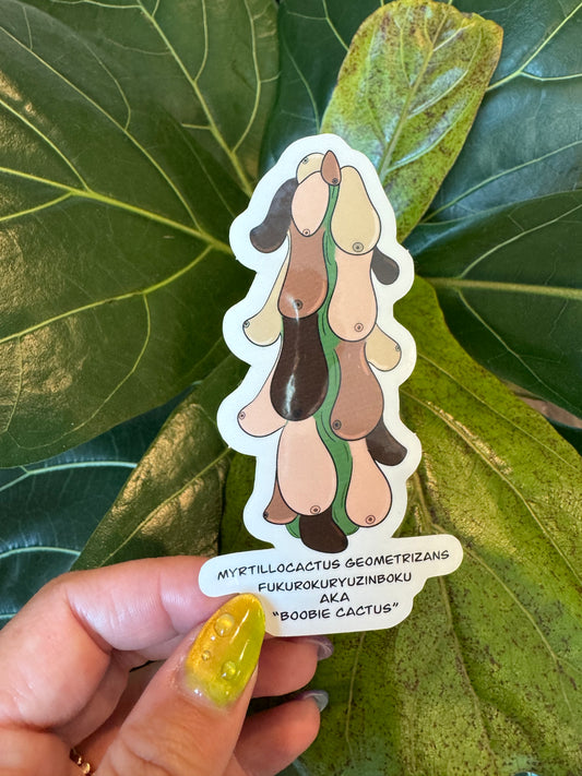 Literal Plants — Boobie Cactus