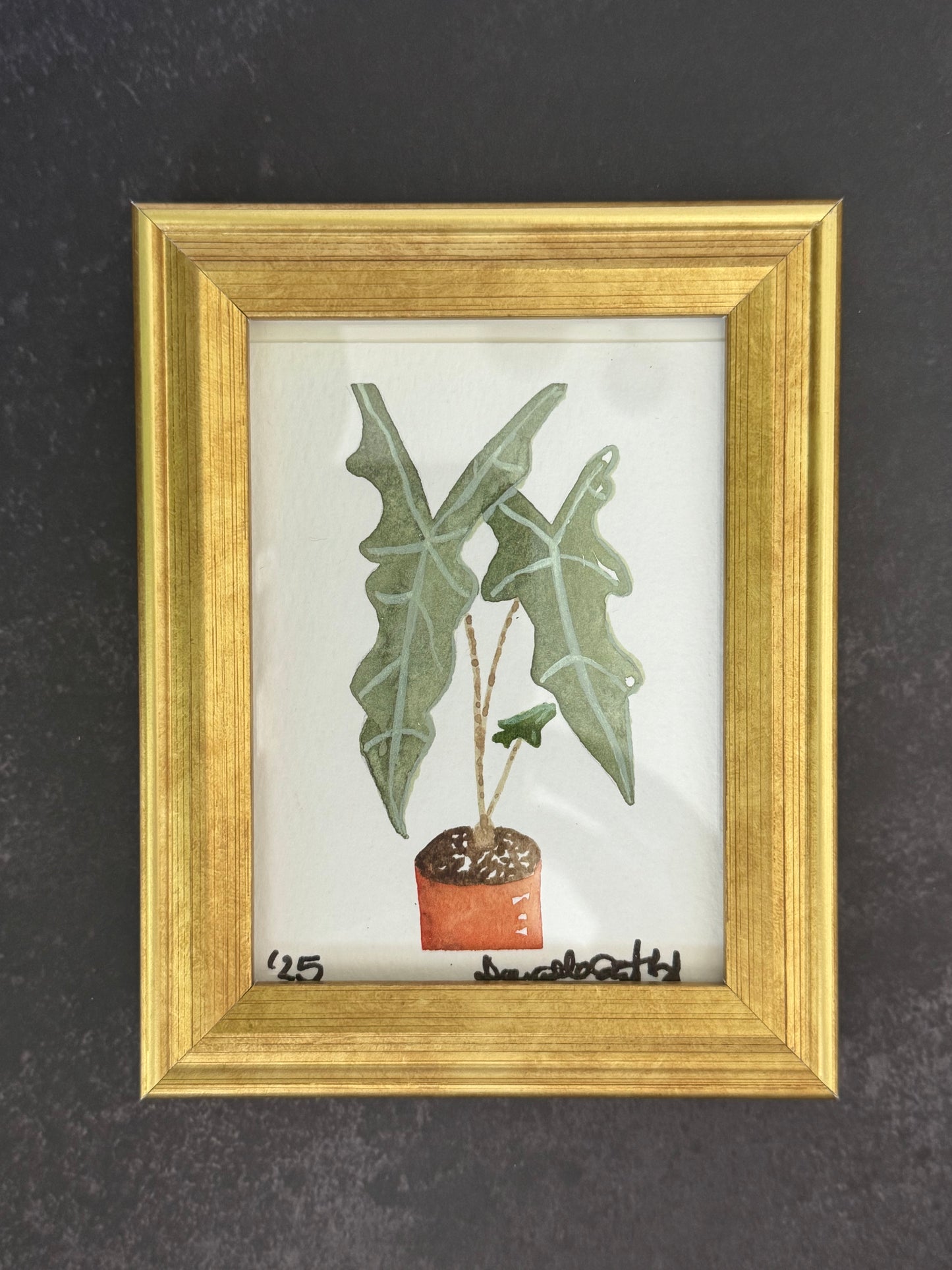 Watercolor Alocasia Painting
