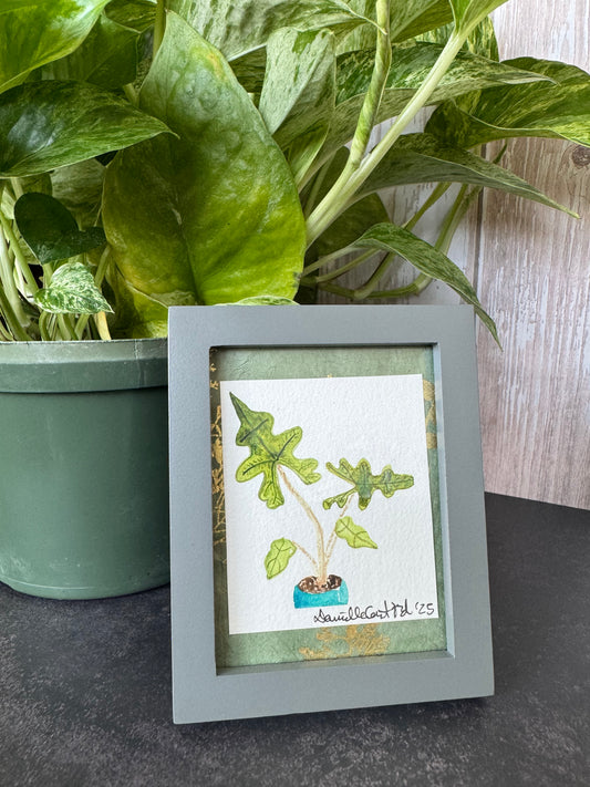 Watercolor Rare Alocasia — Original