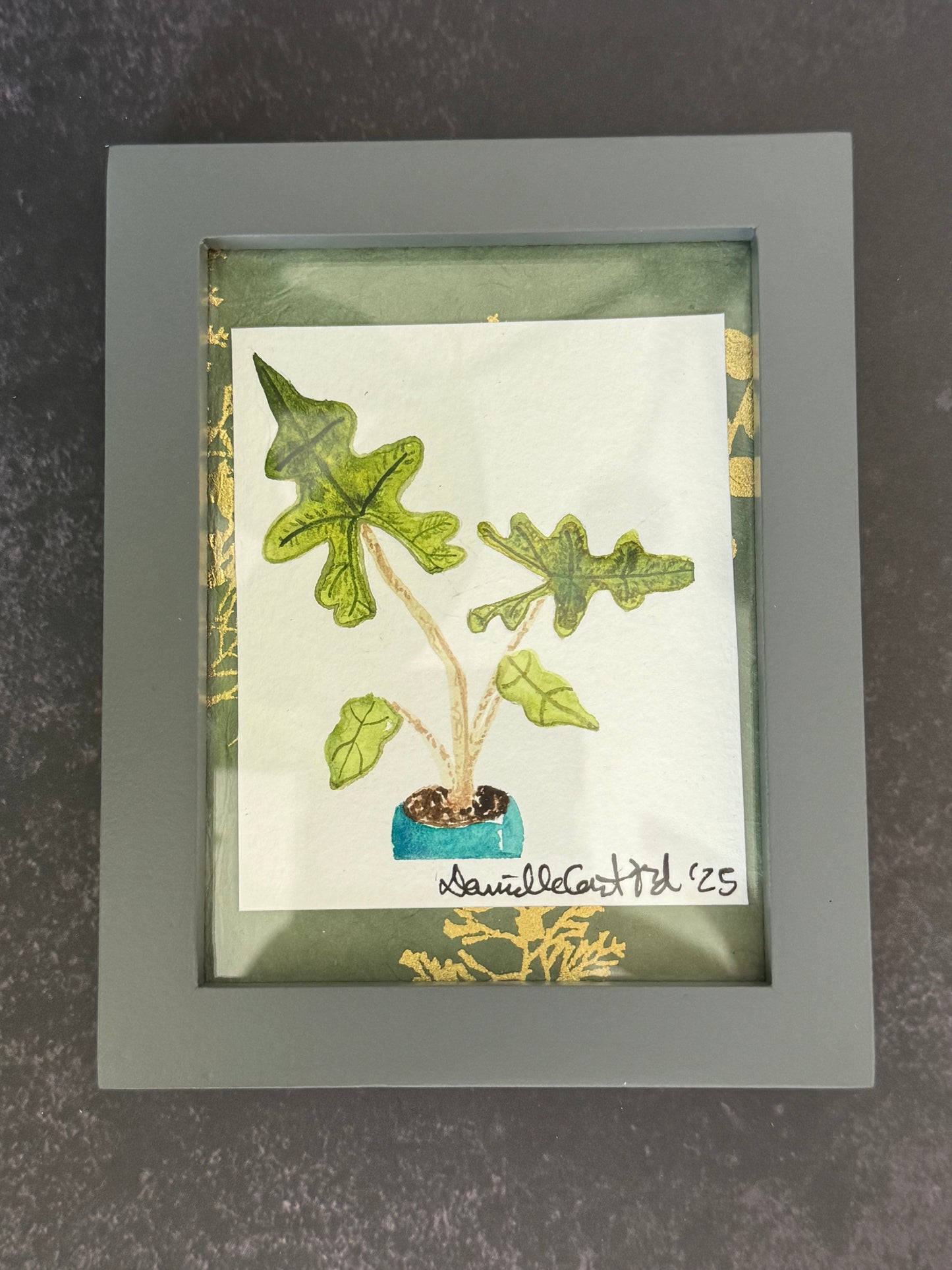 Watercolor Rare Alocasia — Original