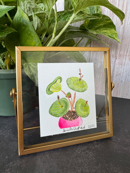 Watercolor “Wine Cup” Plant Painting