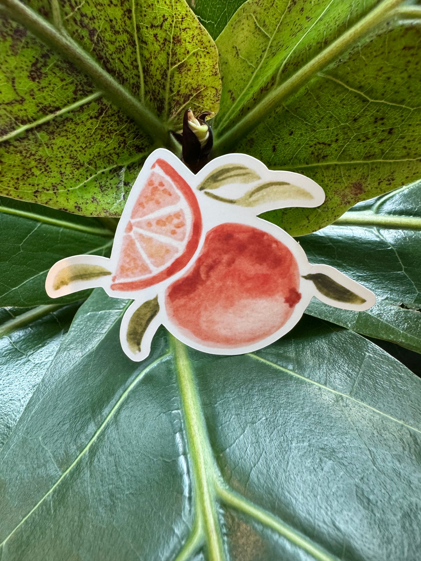 Watercolor Orange Sticker