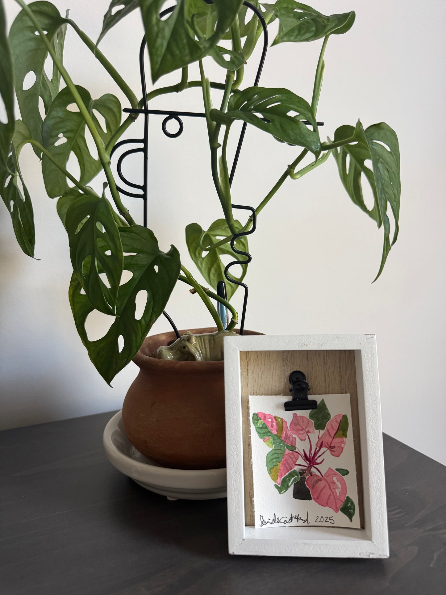 Pink Princess Philodendron Watercolor — Original