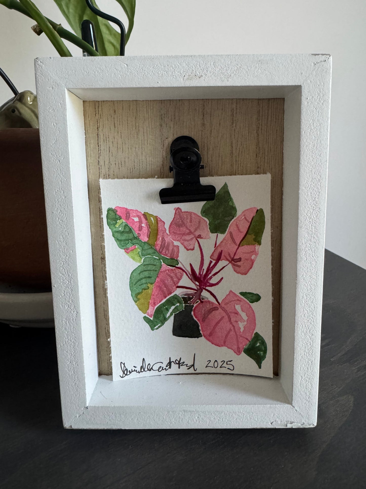 Pink Princess Philodendron Watercolor — Original