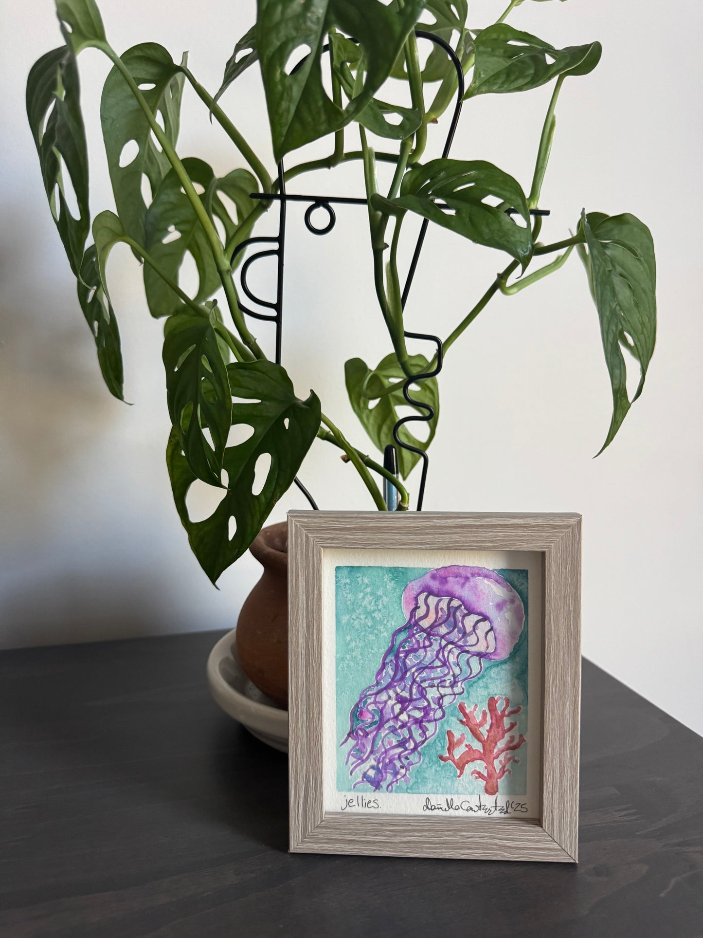 Jellies Watercolor — Original