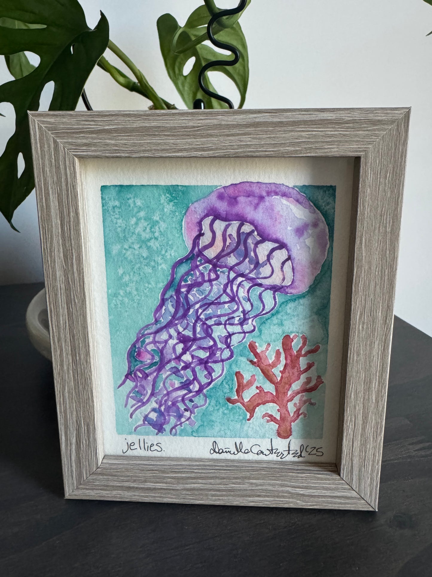 Jellies Watercolor — Original